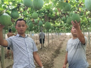 天寶2號基地展示
