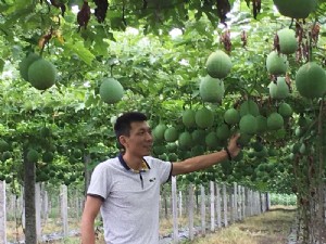 天寶2號基地展示