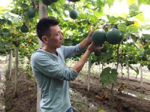 天寶2號基地展示