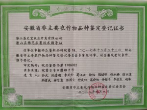 新品種天寶2號生籽對比