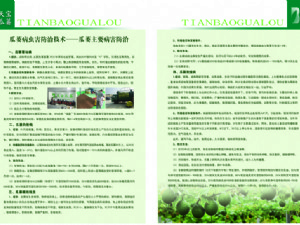 天寶瓜蔞種植技術指導