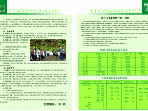 天寶瓜蔞種植技術指導